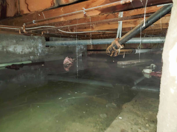 Best 24/7 water damage repair  in Brownville, NJ