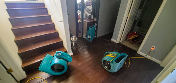 Best Local water damage restoration  in Brownville, NJ