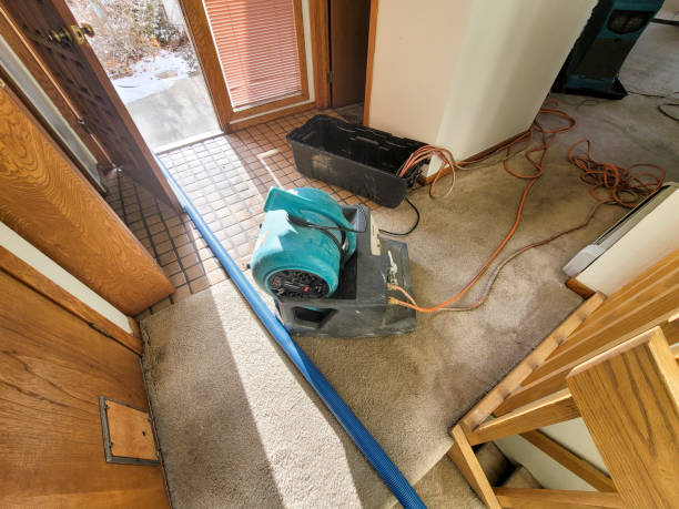 Best Water damage restoration near me  in Brownville, NJ