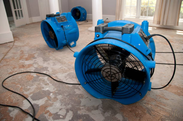 Professional Water damage restoration in Brownville, NJ