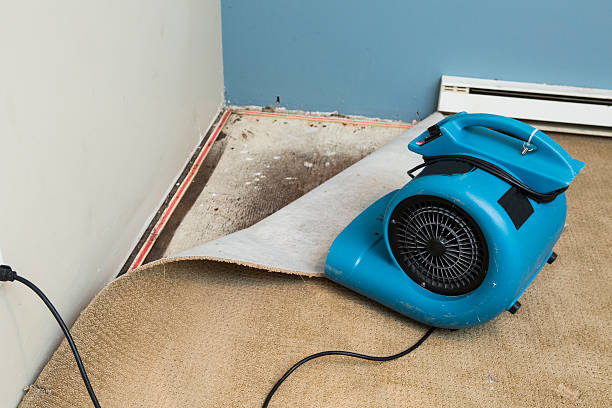 Best Fire Damage Restoration  in Brownville, NJ